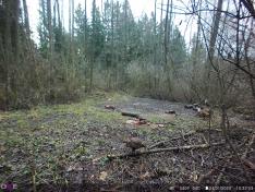 Fotopast OXE Panther 4G a kovový box + 32 GB SD karta, SIM karta, 12 ks baterií a doprava ZDARMA!