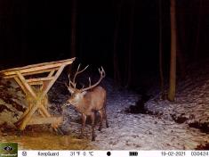 Fotopast KeepGuard KG795W a klasický dalekohled FOMEI 7-21x40 ZCF Zoom + 32GB SD karta, 8ks baterií a doprava ZDARMA!