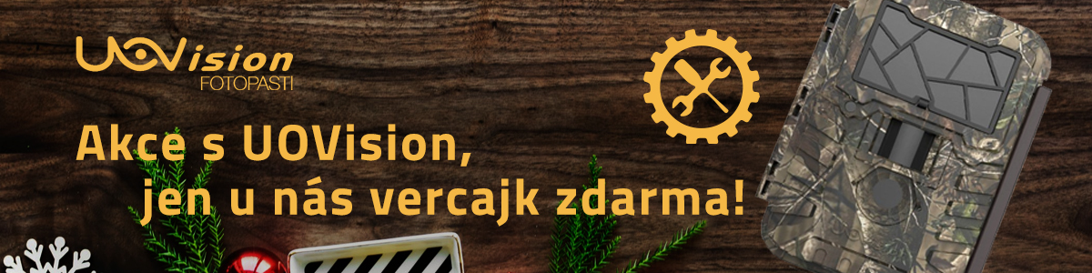 obchodní muži mají gay sex